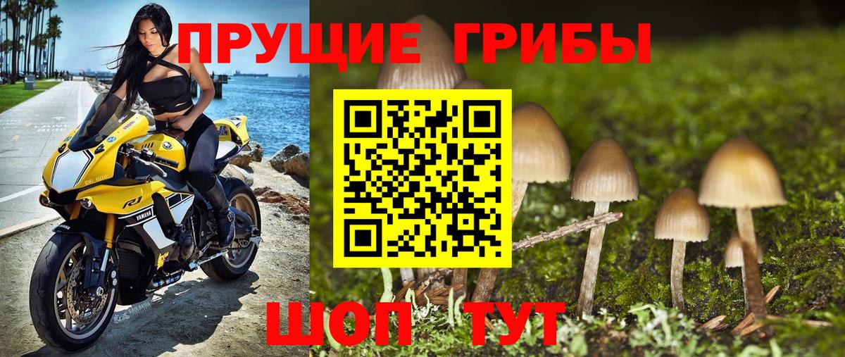 Псилоцибиновые грибы Psilocybine cubensis Мытищи