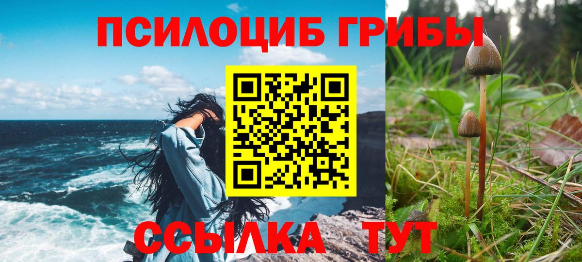 как найти наркотики  Галлюциногенные грибы мицелий  Вход с VPN  Мытищи 